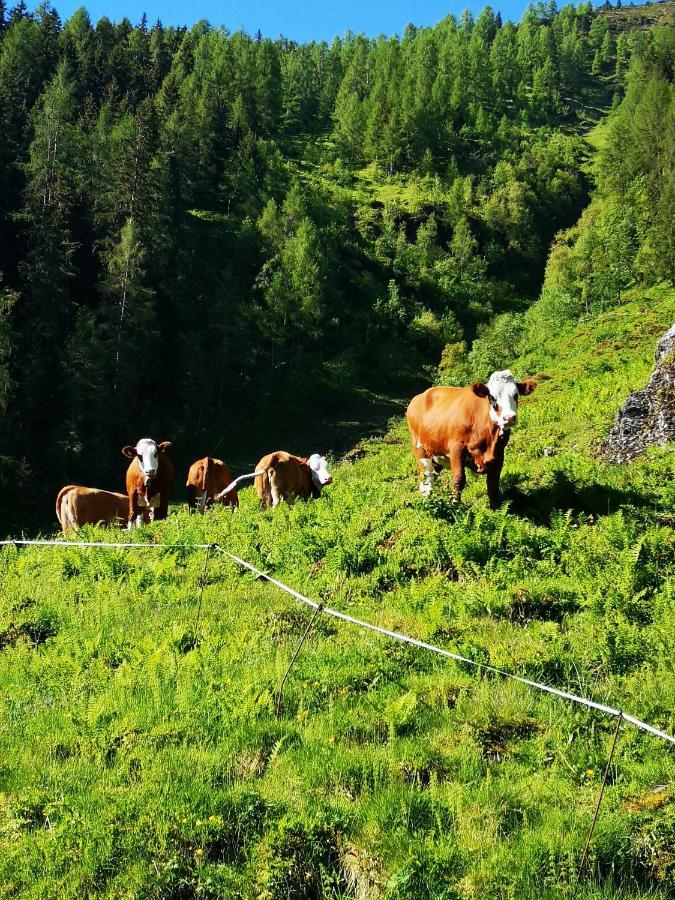Ferienwohnung Bauernhof Obererlach Брамберг-ам-Вільдкогель Екстер'єр фото