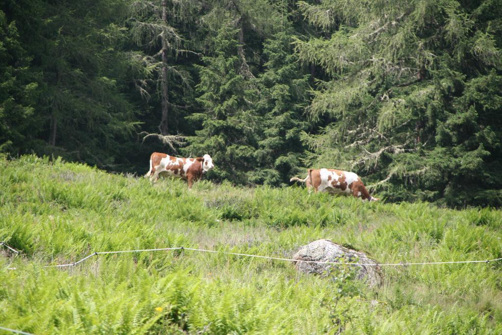 Ferienwohnung Bauernhof Obererlach Брамберг-ам-Вільдкогель Екстер'єр фото