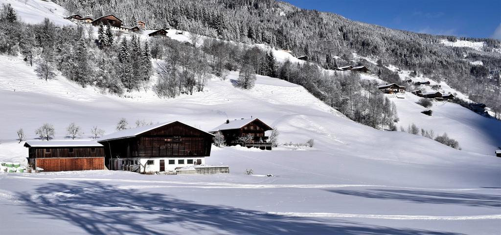 Ferienwohnung Bauernhof Obererlach Брамберг-ам-Вільдкогель Екстер'єр фото